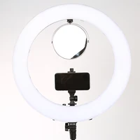

Photography Photo Studio 480 LED Ring Light 5500K Dimmable Camera Ring Light 18 inch Lamp with Tripod Stand