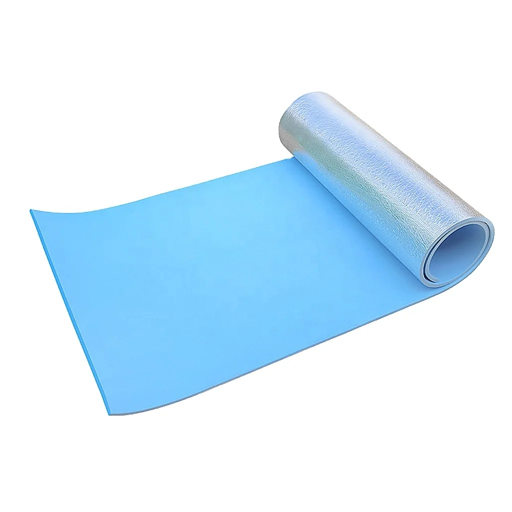 

TY Thickened Non-slip TPE Yoga Mat For Beginners Gym Fitness Exercise Pad Bodybuilding Dance Mat Home Use Baby Crawl With Bag, Blue