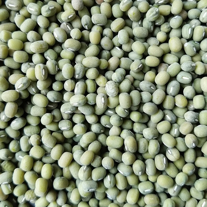 2020 High quality wholesale price green mung bean promotion details