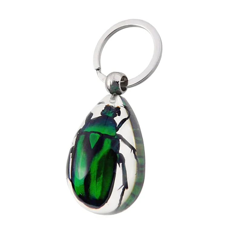 20pcs Resin Insect Specimen Keychain As Beautiful Fashion Key Chain