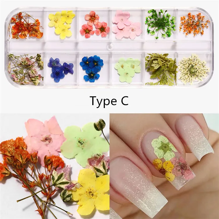 QT0188 Type C flower