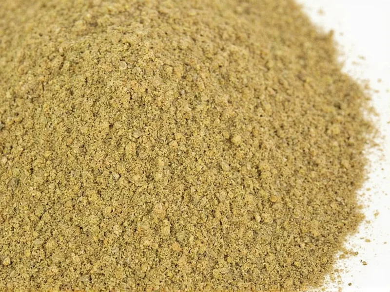 Best Coriander Seeds Powder Substitutes Guide