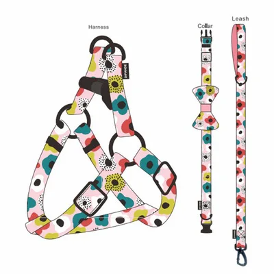 

Pet leash walking leash pet supplies dog strap dog harness set