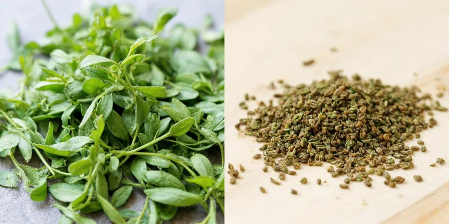Final comparison between Greek and Italian oregano