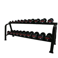 

Newest 2 layers Hex Dumbbell Rack Body building Equipment steel shelf Rack