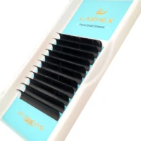 

2019 China Supplier Silk Eyelash Extension Wholesale Prime Silk Lash Individual Eyelash Extensions