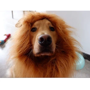 Image of Halloween Dog Party Hat Lion Hair Dogs And Cats Pet Dog Hat Pet Wig Ears Head Cap Dress Up Costume Pet Animal Hats
