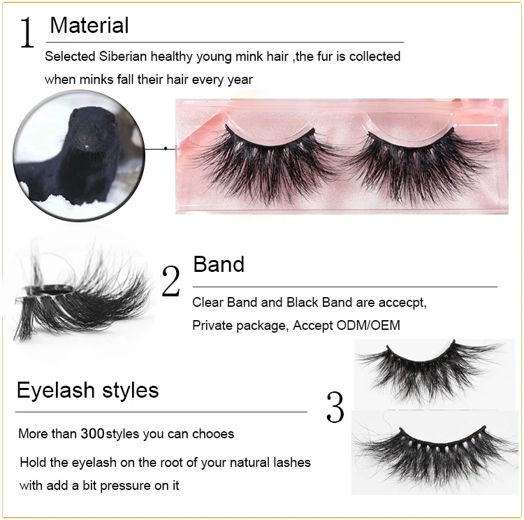 Lashes 3d Liquid Eyeliner Five Eyelash Set