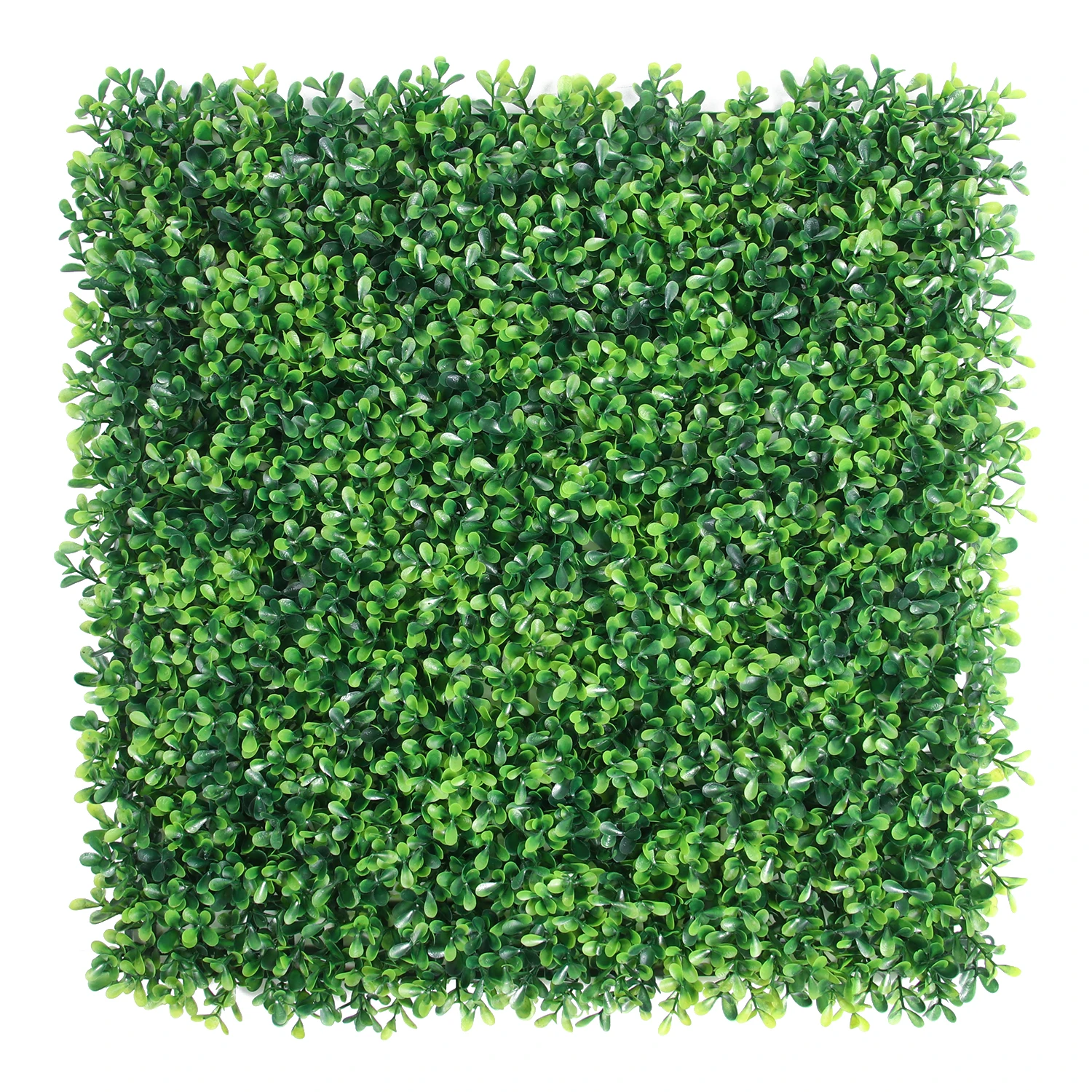 

Wholesale grass boxwood hedge panel green artificial plant wall for home garden decoration, Green color