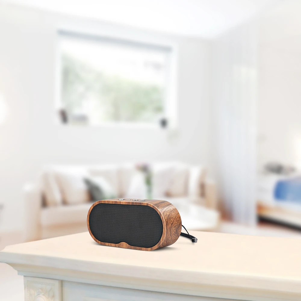 2021 Best Portable Mini Bluetooth Speaker With FM Radio For Christmas Gift - ANKUX.COM