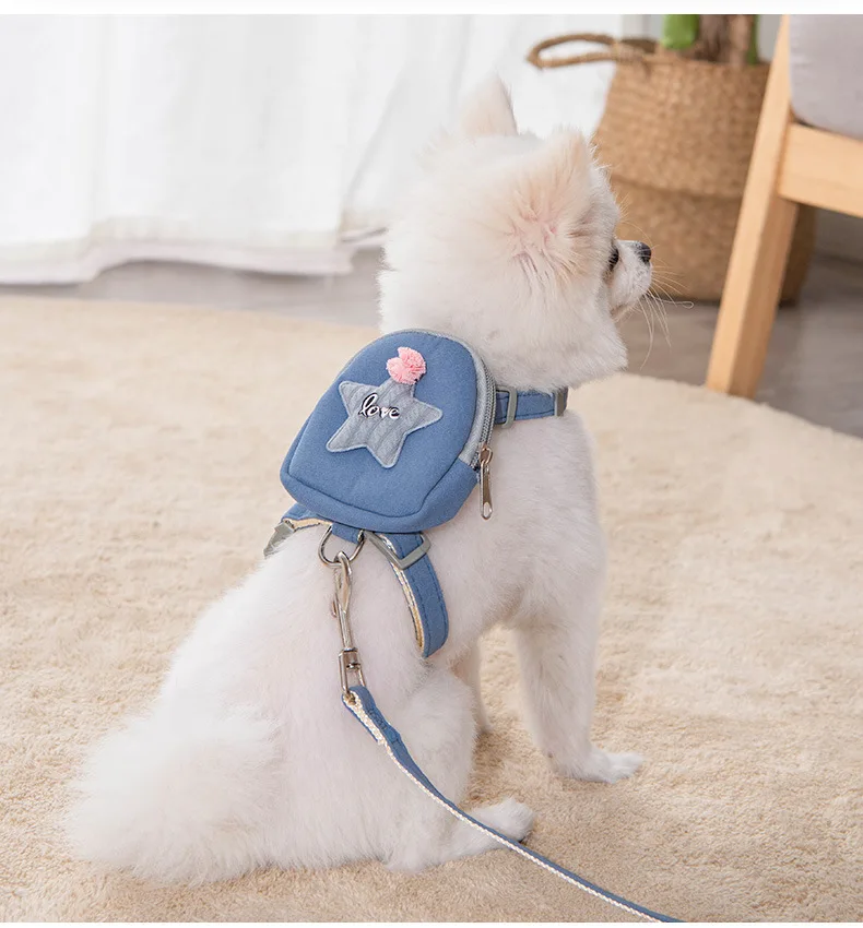 

Bunny DS03 2022 Hot sale pet supplies cat dog leash with backpack design cute cat dog harnesses, 4 colors available