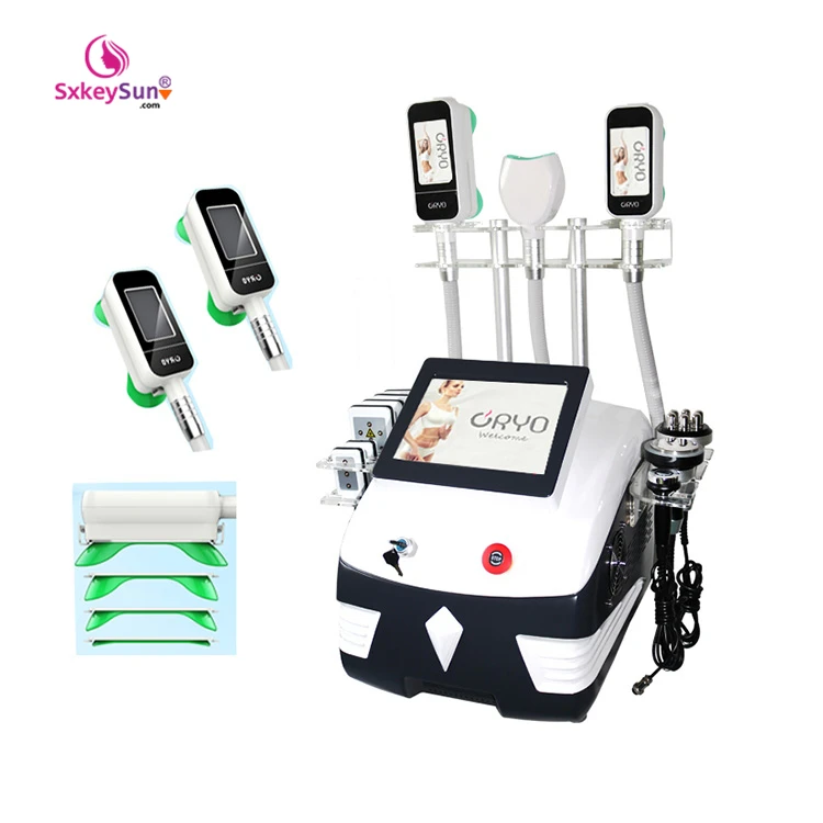 

Portable 360 Cryo Criolipolisis Weight Loss Machine Cryolipolysis Slimming Machine