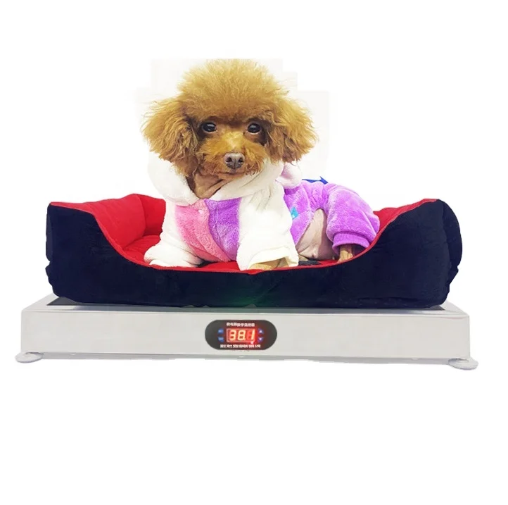 

New smart luxury constant temperature pet sofa bed cat dog kennel heating in winter and cooling in summer pet heating pad