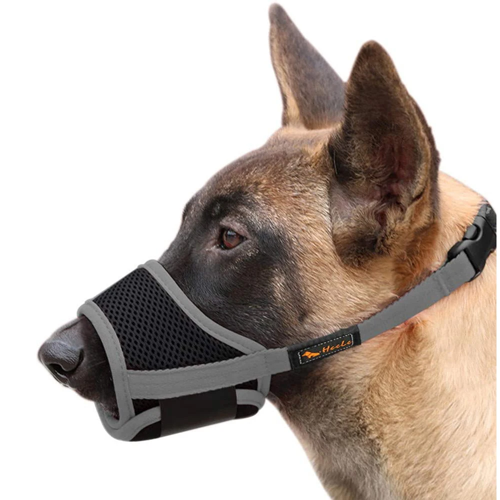 best dog muzzle