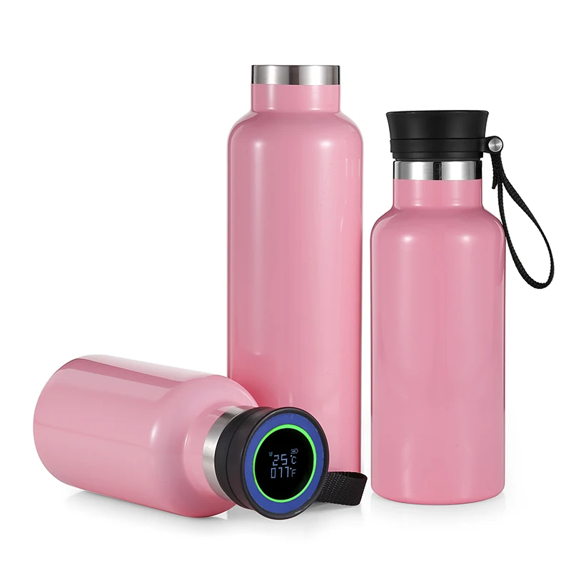 

500ml Stainless Steel Water Bottle Mug Smart Cup Digital Temperature Display Vacuum Flask Business Thermo With Custom Gift Logo
