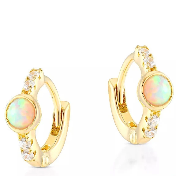 

Fashion 925 silver women Jewelry micro pave zircon gold plated Women's Hoop Earrings Opal Earrings