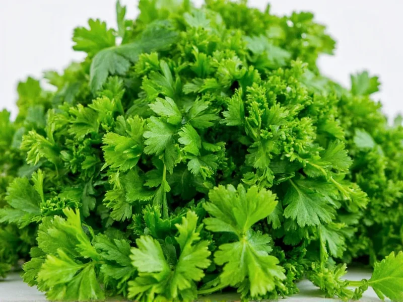 Parsley vs Cilantro: Clear Differences Explained