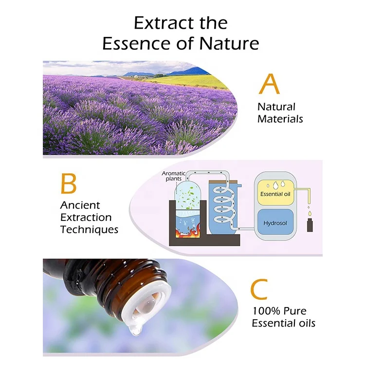 
Factory Supply 100% Pure Massage Body Tea Tree Lavender Aromatherapy Gift Set Oil Rose Essential Oil Kit 