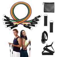 

Resistance Bands Set Exercise Workout with Door Anchor Handles Legs Ankle Straps Carry Bag Nature Latex (12pcs)