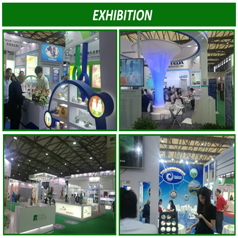 
High purity Minoxidil , Hair Loss Treatment Minoxidil powder 