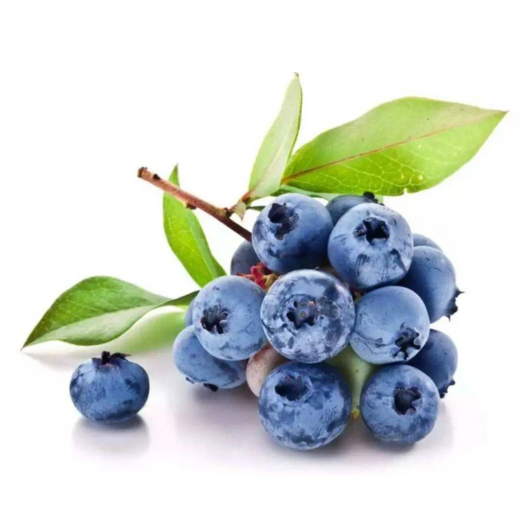 
Pure Blueberry extract powder with good water solubility 
