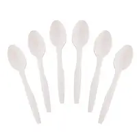 

PLA cornstarch biodegradable spoon Disposable cutlery spoon 7" 1000pcs per box