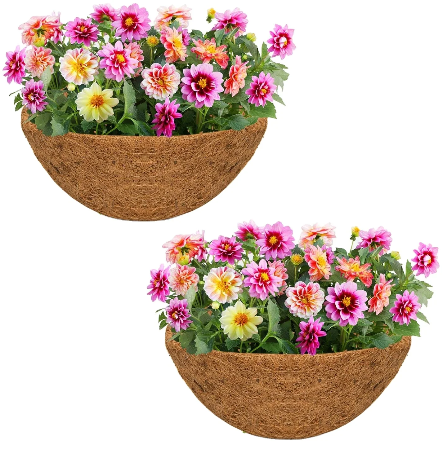 

HUAYI hot sale 12-inch Thick Coconut Liner for Plant Hanging Basket coconut coir basket liner
