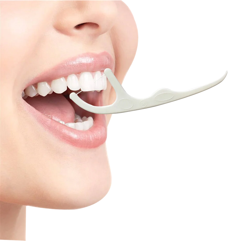 

Factory biodegradable Floss Bulk vegan Tooth Silk Nylon Dental Floss Picks for cleaning teeth