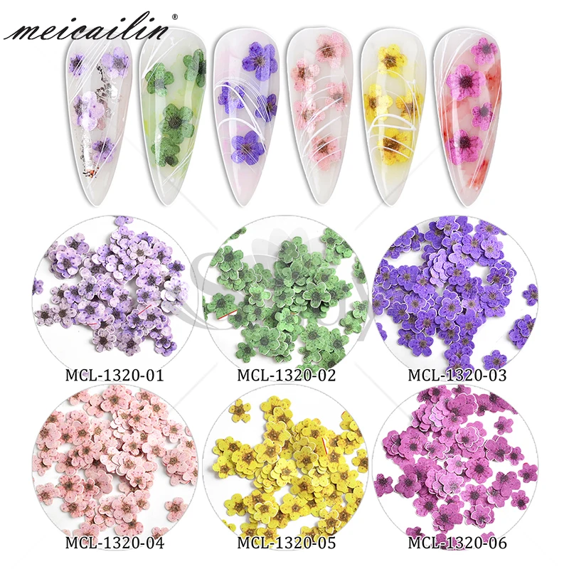 

New 6 colors nail dried flowers for nails nail accessories