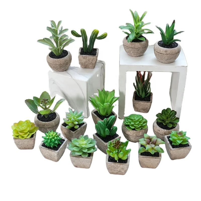 

Wholesale Artificial mini succulent arrangement plastic material succulent for pot plant