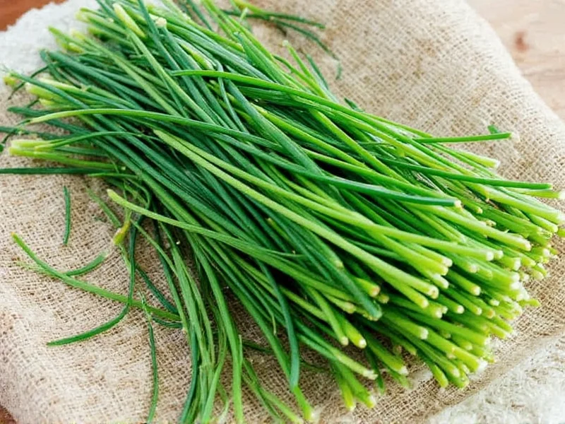 How to Dry Fresh Chives: 4 Effective Preservation Methods