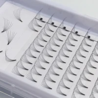 

Premium Silk Hand Made 6D Russian Volume Lash 0.05 0.07 Automatic Fan Lashes false mink eyelashes