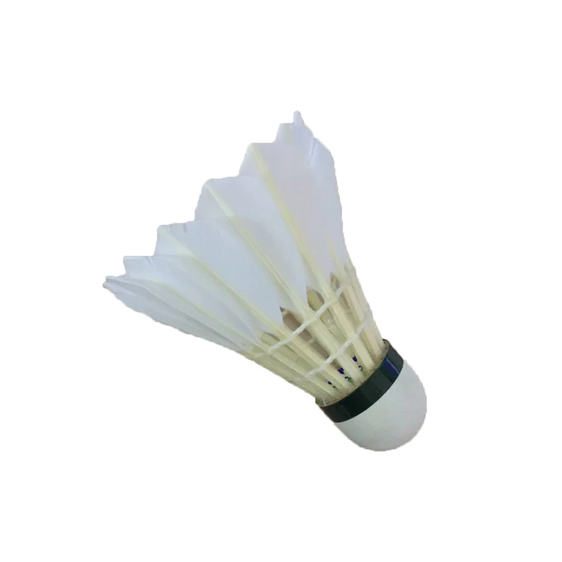 Shuttlecock 02.jpg