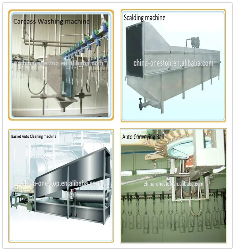 Chicken processing plant equipment Chicken slaughterhouse equipment