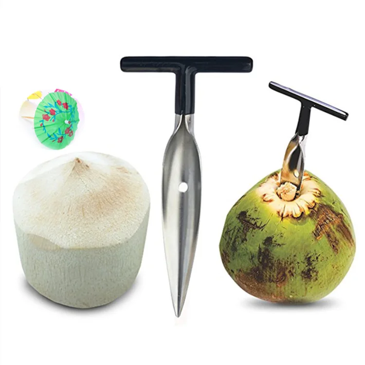 

CL609 1pc Useful Coconut Opener Opening Driller Portable Coconut Spatula Drilling Tool Stainless Steel Coconut Opener, Black