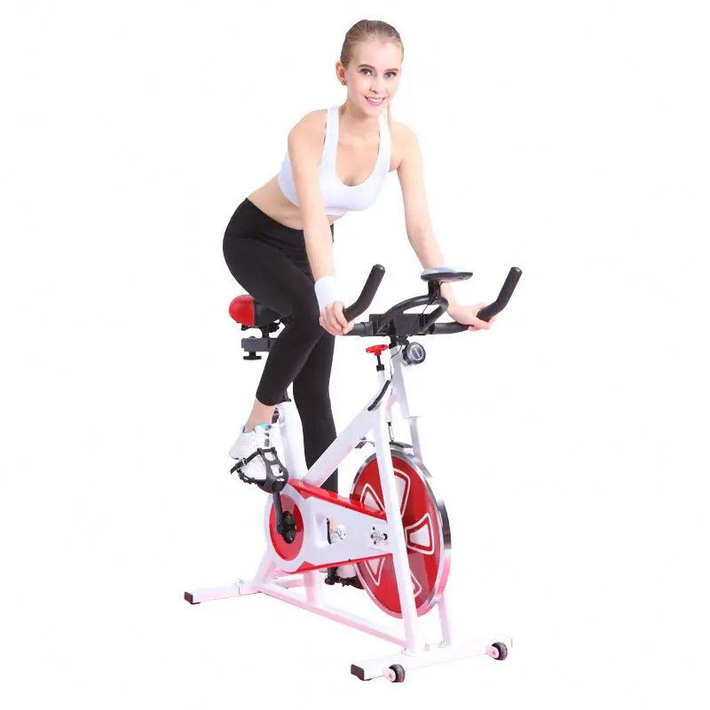 

Hot Sale Professional Magnetic Silent Life Fitness Indoor Exercise Bike