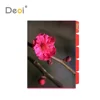 Deoi Home Series Flower Expanding File Folders with Pockets PP Material