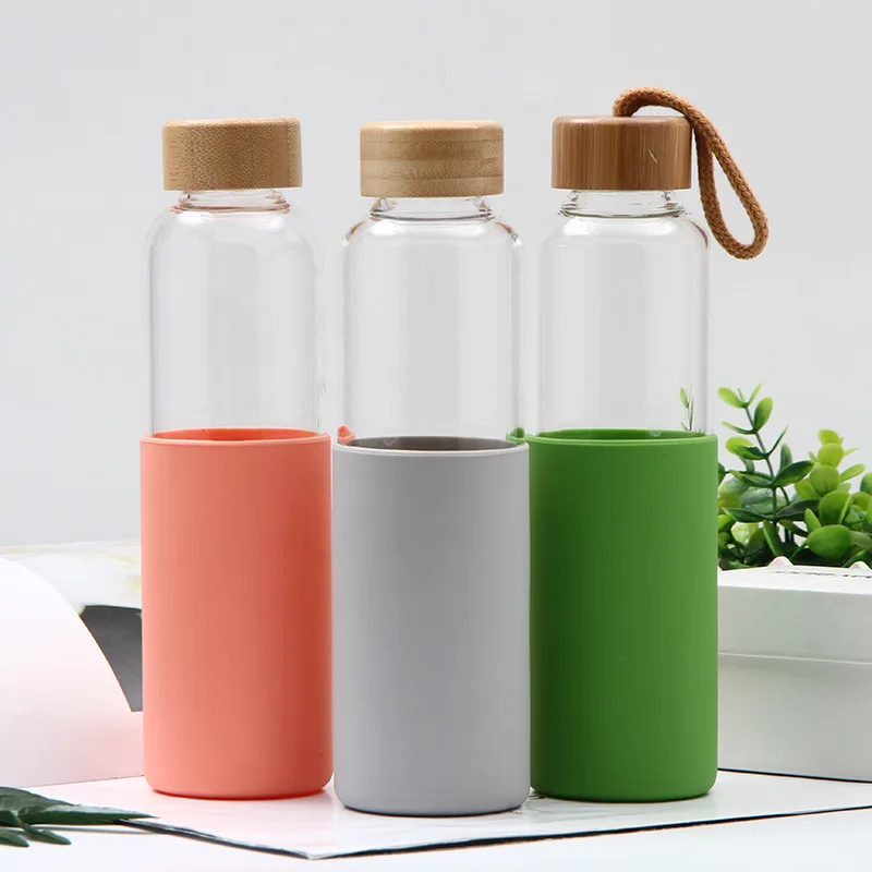 

480ml for Hot Cold Tea Detox Insulated Glass Water Bottle with Handle Lid and strainer, Customized color