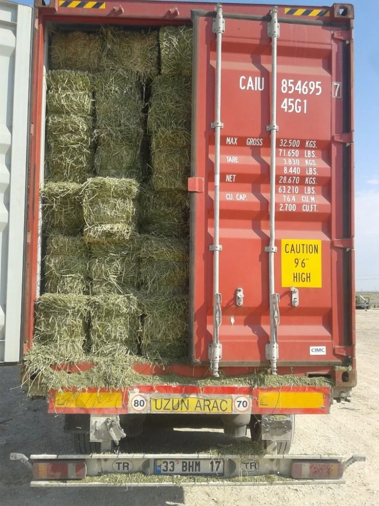 
Alfalfa hay from Turkey 