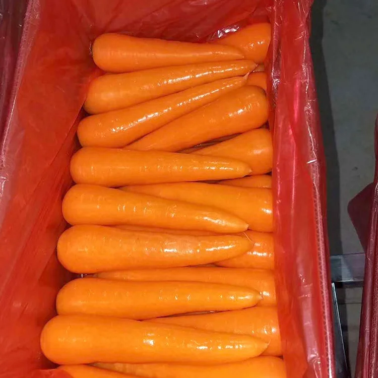 
Fresh wholesale Chinese spot carrots 