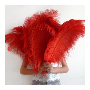 Wholesale Feather Crafts Supplier Promotional Cheap White Ostrich Feather for Sale