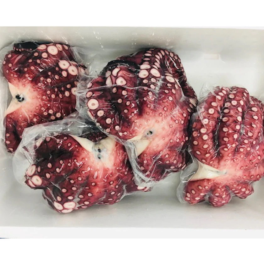 
10kg steamed plump texture tako octopus importers delicious frozen seafood brands 