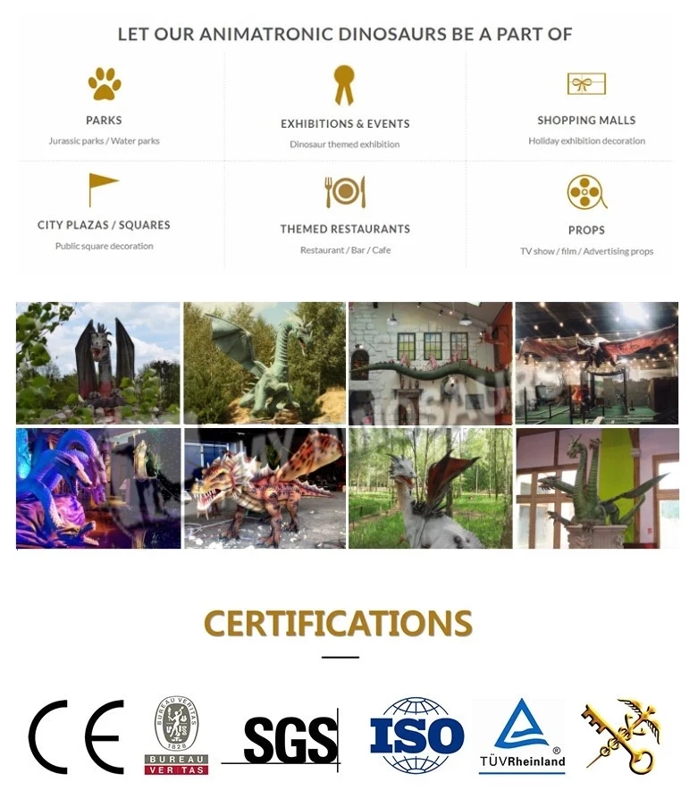 AN certificate.jpg