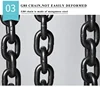 model angled block stainless chain Chain hoist in Mobile Workshop