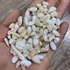 Wholesale 5-7mm natural white shell crystal tumbled stone for home decoration