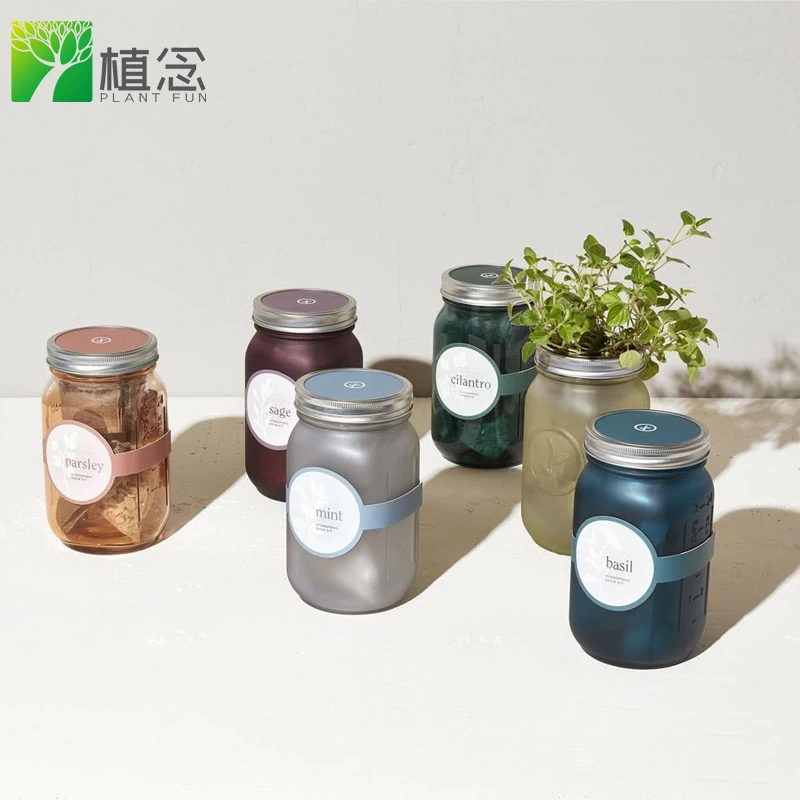 

New release non gmo herb plant DIY natural garden jar herb kit for decor