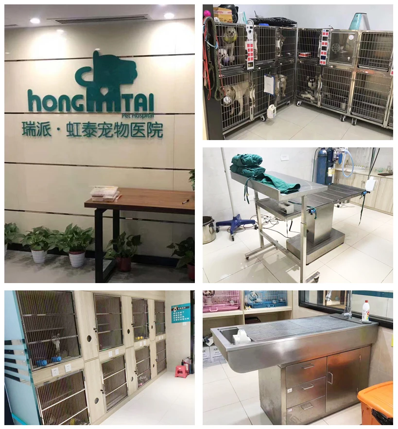 304 Stainless Steel Pet Operating Table Pet Inspection Stand With Low