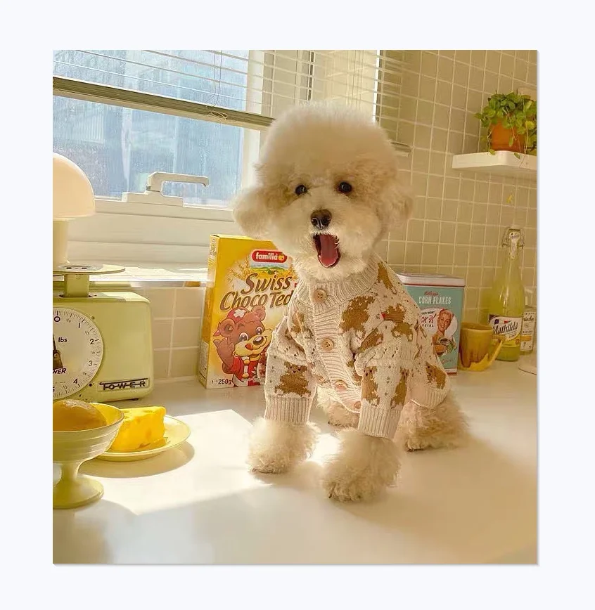 

Autumn New Cute Bear Ins Hot Cartoon Style Trendy Dog Sweater