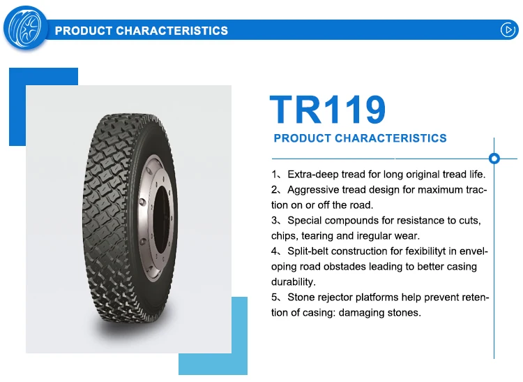 snow-TR119