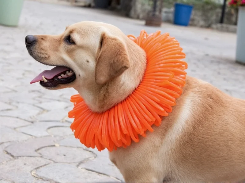 Dog wearing pool noodle collar alternative